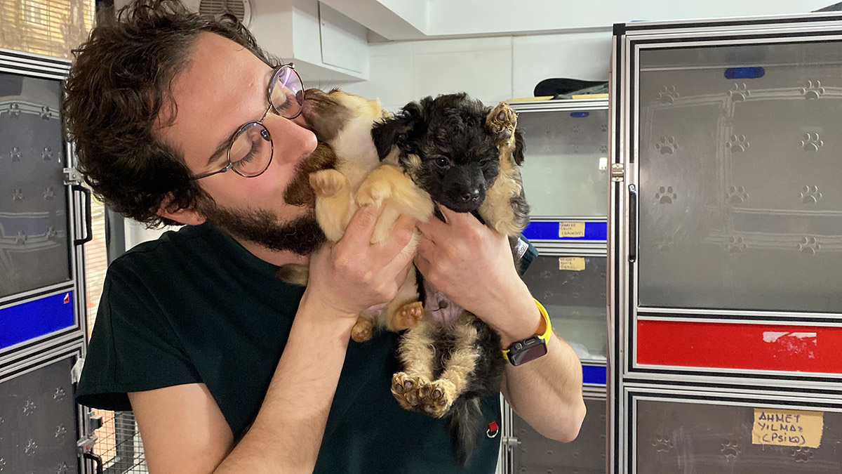 Depremden etkilenen hayvanlar ücretsiz tedavi ediliyor