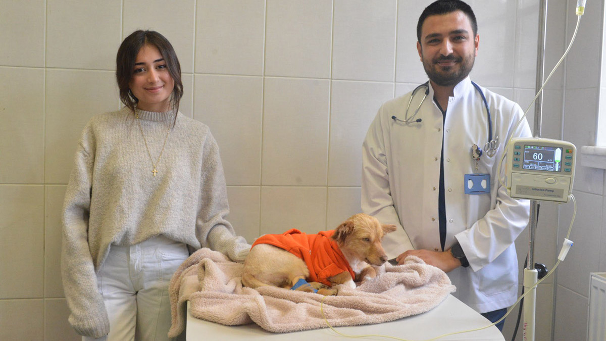 Deprem bölgesinde enkaz altından çıkarılan 76 köpek, kedi ve kuş, Ankara Üniversitesi Veteriner Fakültesi Hayvan Hastanesi'nde tedavi edilirken, hayvanlara psikolojik destek de sağlanıyor.