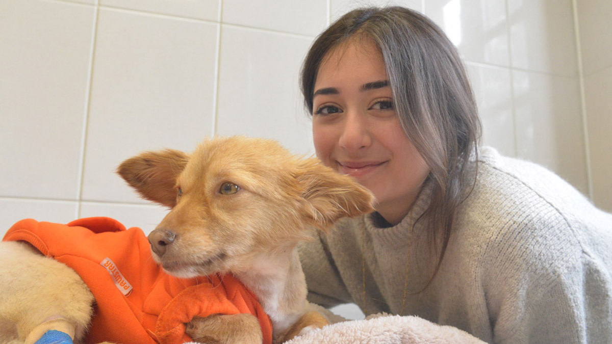 Depremzede hayvanlara psikolojik destek