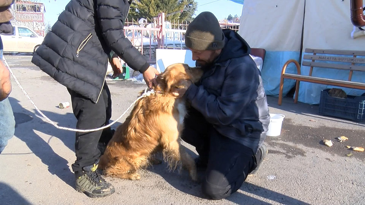 Hasarlı evde 5 gün mahsur kalan köpek kurtarıldı