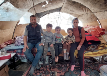 Depremzedeler seralarda yaşıyor