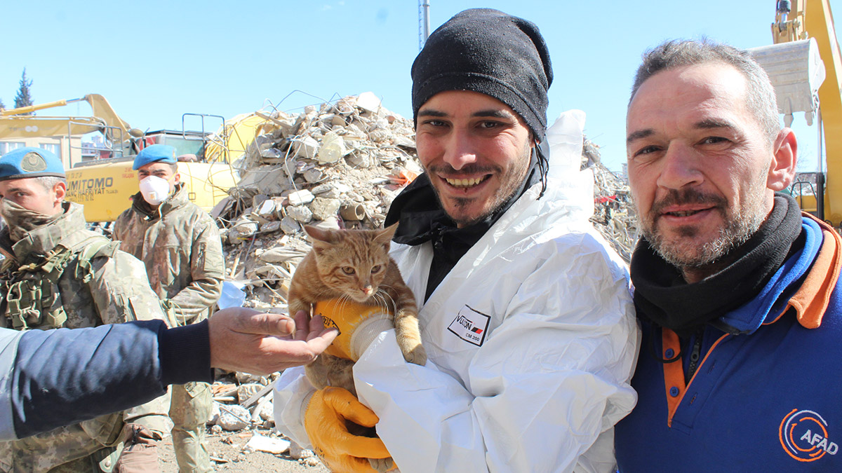 Enkazda bulduğu kediye AFAD adını verdi