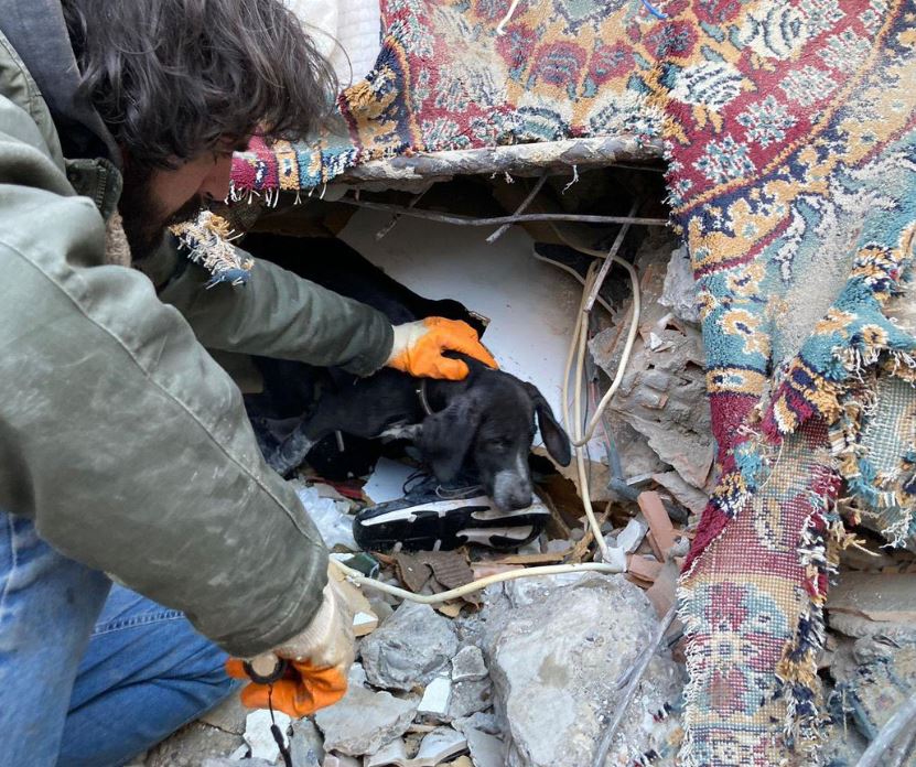 Depremde 24 bin 617 kişi hayatını kaybetti