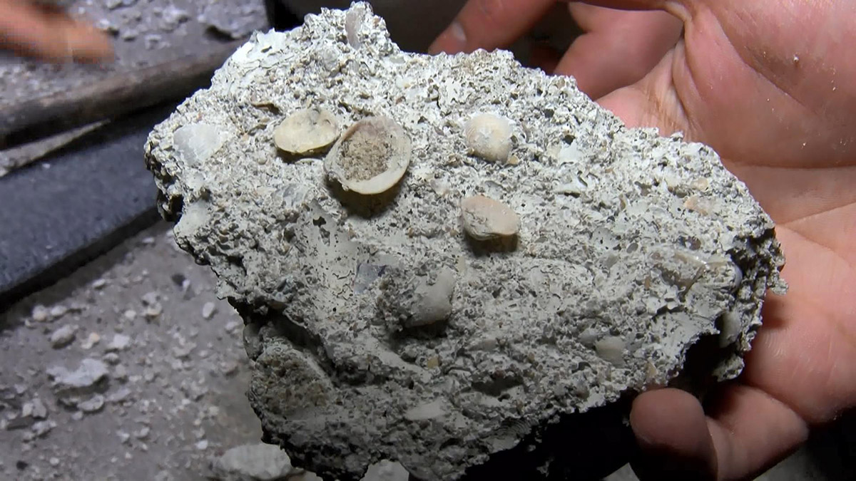 Esenler'de pas tutarak çürüyen demirleri, çatlamış kolonlarıyla endişeye yol açan 35 yıllık, 5 katlı binanın sakinleri duruma çözüm bulunması için yetkililerden yardım istiyor. Bayrampaşa'da da 3 katlı apartmanda dökülmeler ve kolonlarındaki çatlaklar endişeye yol açıyor.