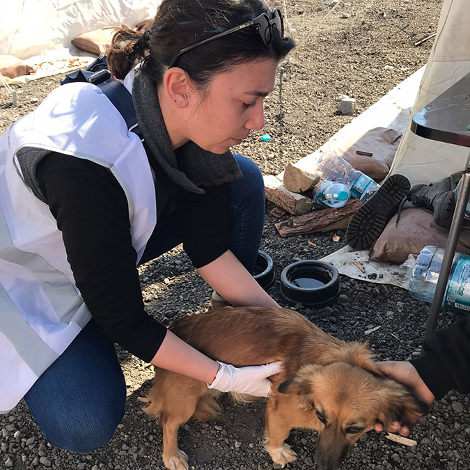 Kahramanmaraş merkezli depremlerin yaşandığı 6 Şubat'a nikah tarihi alan, ancak felaket nedeniyle ertelemek zorunda kalıp, Hatay'da gönüllü olarak çalışan veteriner hekimler Burcu Dursun ile Erdi Can, 2 saat mola vererek Adana'da nikah masasına oturdu.