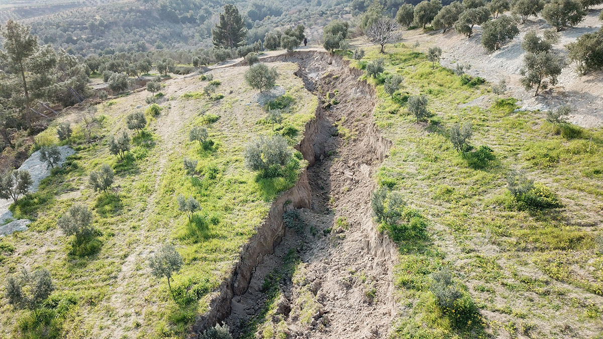 Zeytin bahçesinde derin yarıklar oluştu