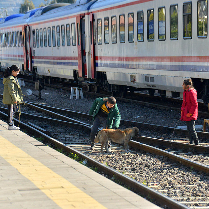 Vagonlara bin 500 depremzede yerleştirildi
