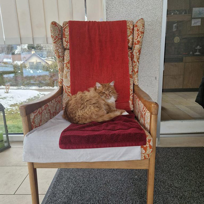 İsviçreli diplomat Martine Berset, Ankara'da görev yaptığı sırada sahiplenip, çip taktırdığı kedisi 'Erin' kaybolunca ülkesine döndü.