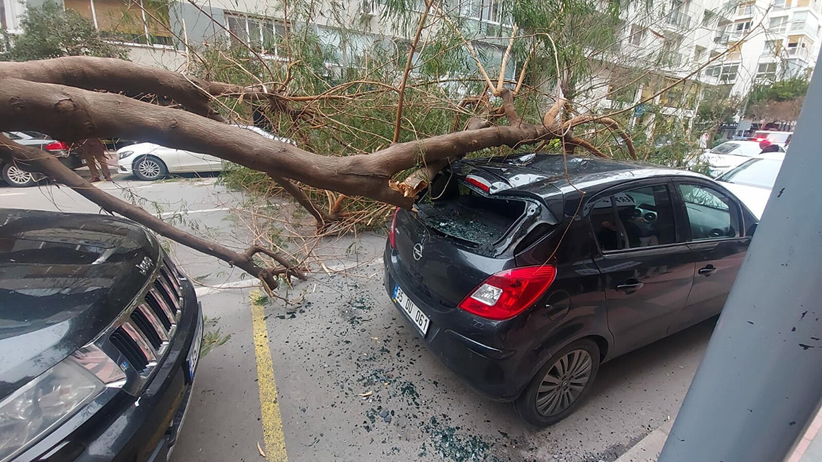 İzmir'de kuvvetli rüzgar; ağaçlar devrildi