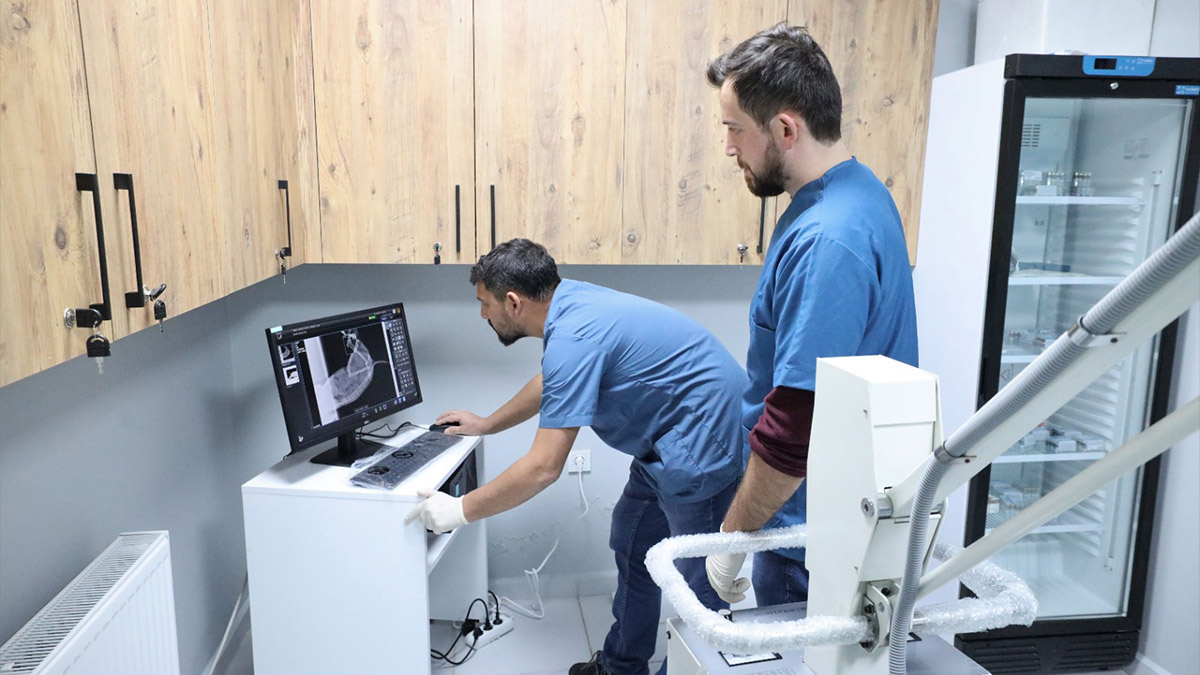 Kahramanmaraş merkezli depremlerde etkilenen Adayıman'da arama kurtarma faaliyetlerine katılan Meksika ekibinde yer alan ve enkazda canlıların yerinin tespit edilmesinde görev yaparken ölen Proteo isimli köpeğin adı, Kocaeli'nin Başiskele Belediyesi tarafından sokak hayvanları için yaptırılan rehabilitasyon merkezine verildi.