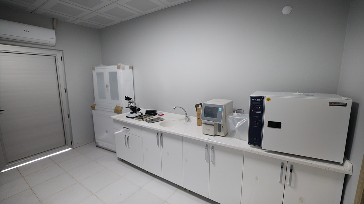 Proteo isimli köpeğin adı Kocaeli'de yaşayacak