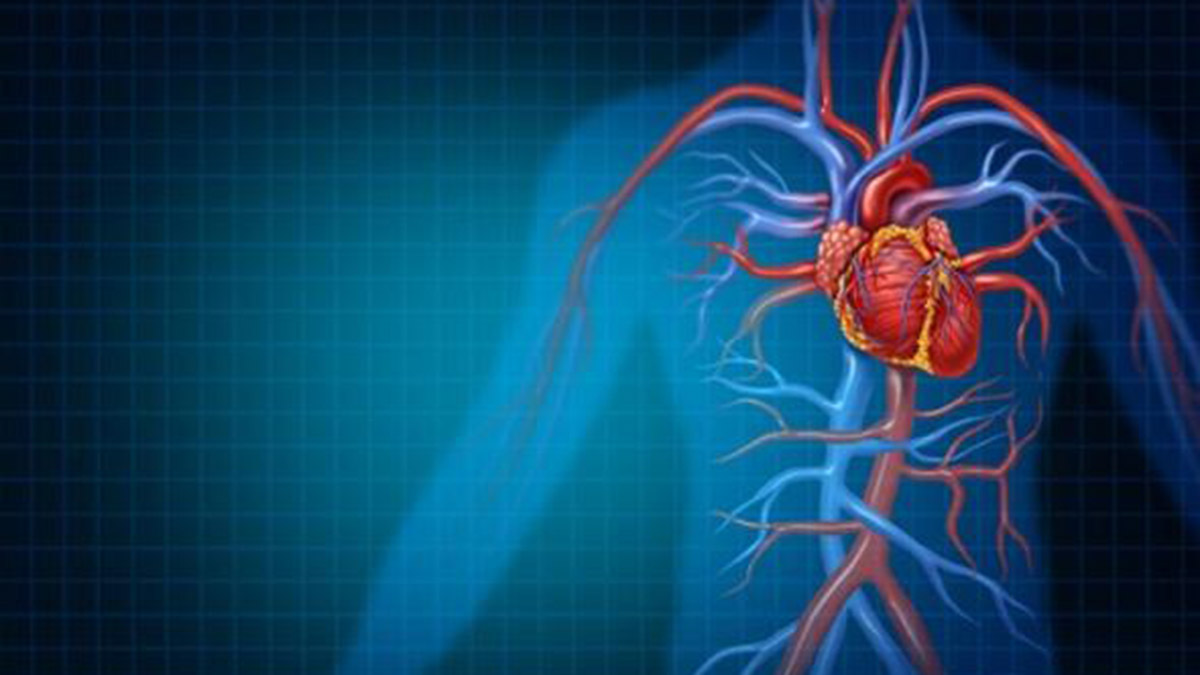 Kalp ve damar hastalıklarının beslenme ile yaşam kalitesindeki bozulmaya bağlı geliştiğini söyleyen uzmanlar, aşırı kilodan kaçınmanın, stres yapmamanın, sağlıklı beslenmenin ve düzenli egzersiz yapmanın tedavide çok önemli olduğu uyarısında bulundu. 