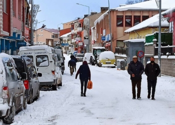 Hakkari'de ilk ve orta dereceli okullar yarın da tatil