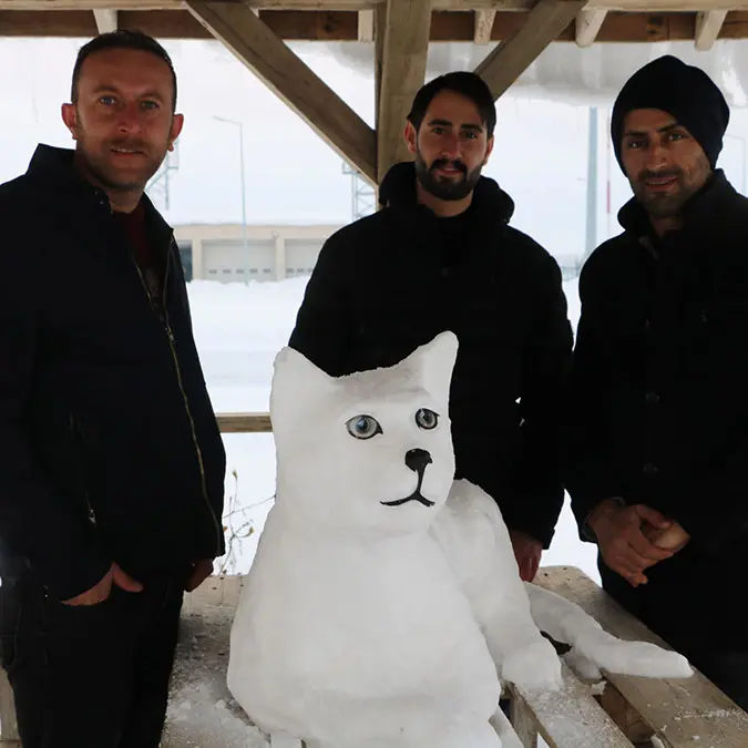 Kardan van kedisi yaptılar