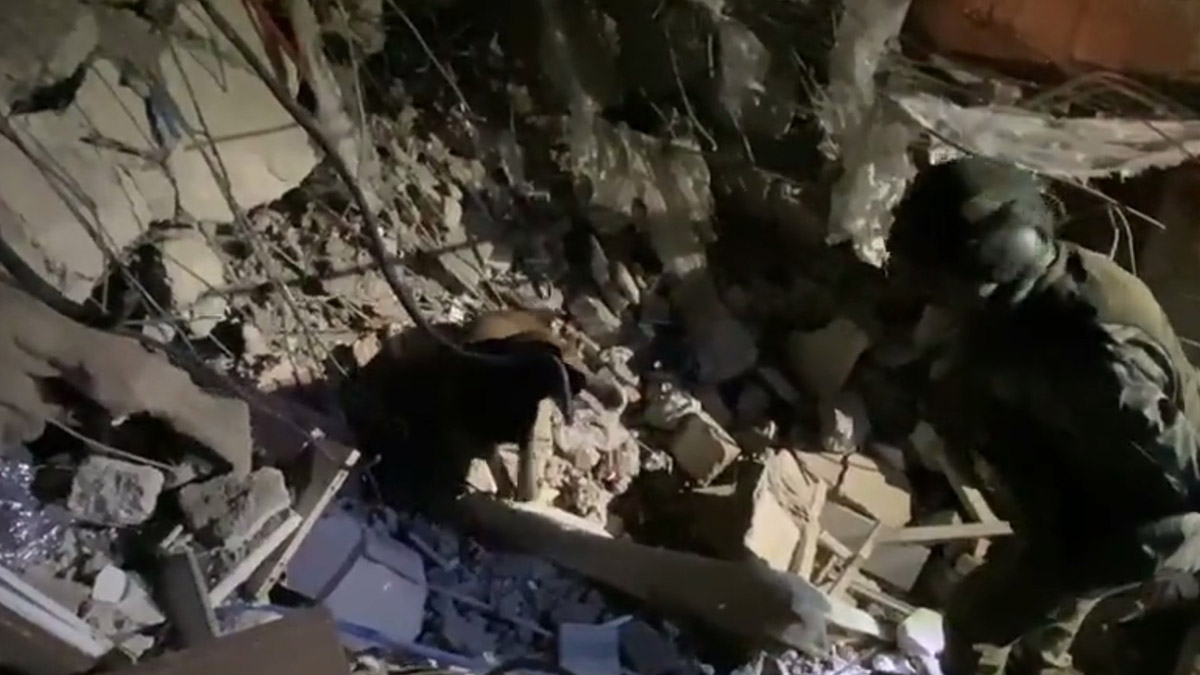 Arama-kurtarma köpeği can kurtarıyor