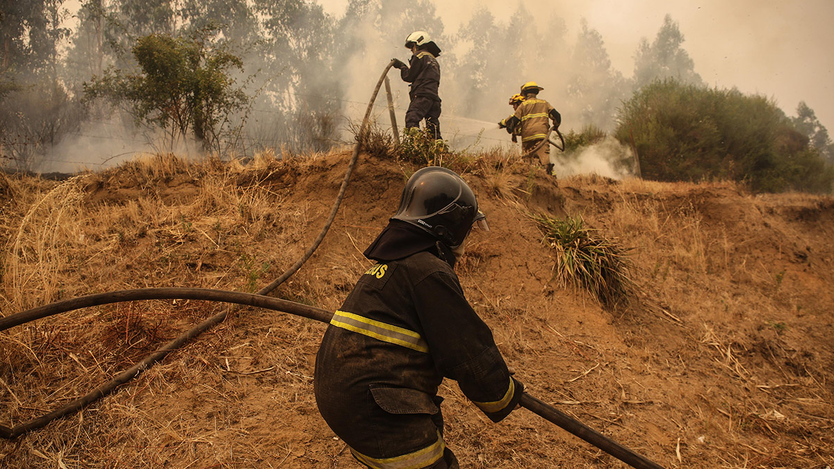 Şili'de orman yangınları; 23 ölü 979 yaralı