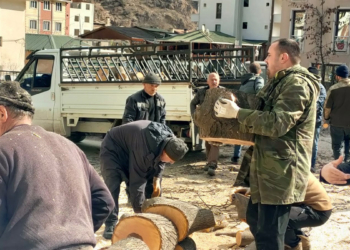 Ağaçlar, depremzedelerin ısınma ihtiyacı için oduna dönüştürüldü