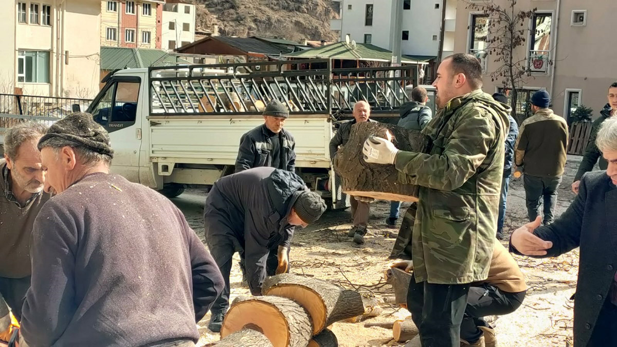Ağaçlar, depremzedelerin ısınma ihtiyacı için oduna dönüştürüldü