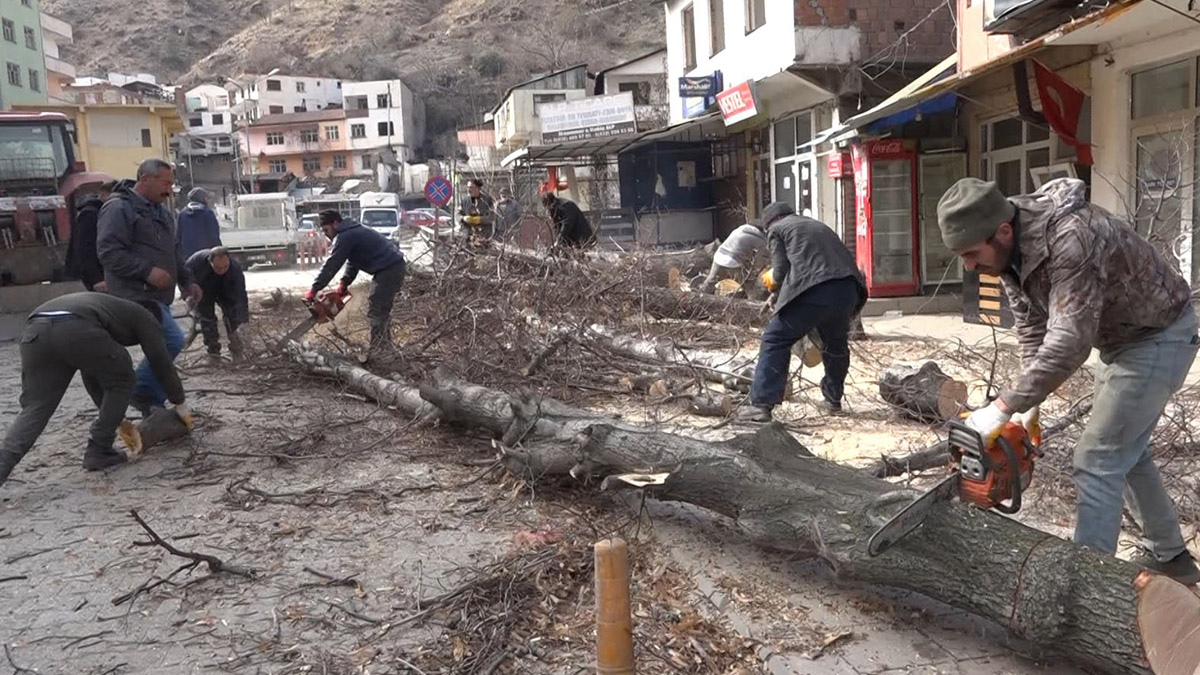 Artvin'de su tutma süreci süren, 'Türkiye'nin en yüksek barajı' Yusufeli Barajı ile sular altında kalacak Yusufeli ilçesinde halk, anılarla birlikte suya gömülecek ağaçları kesip, depremzedelerin ısınma ihtiyacı için oduna dönüştürdü. El ele verilerek çuvallanan odunlar, TIR'larla deprem bölgelerine ulaştırıldı.