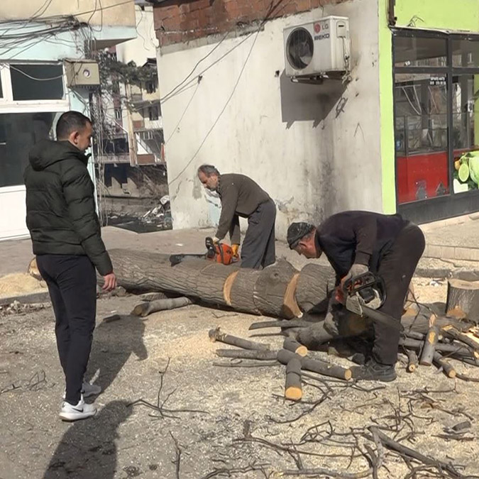 Ağaçlar, depremzedelerin ısınma ihtiyacı için oduna dönüştürüldü