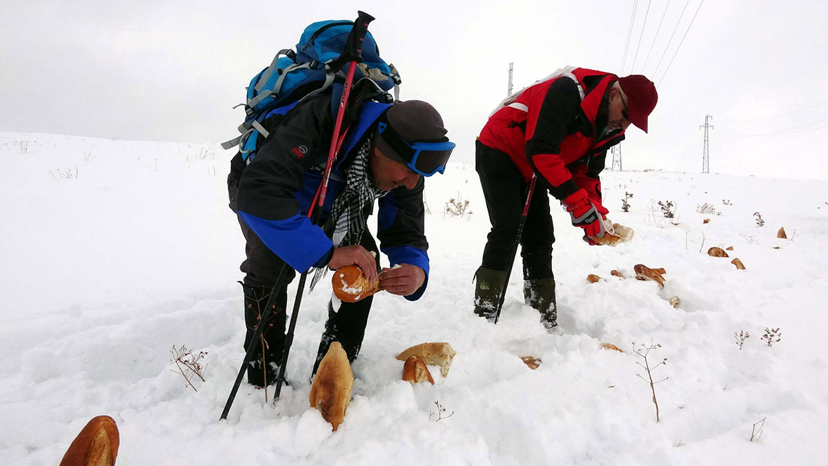 Dağcılar yaban hayvanları için ekmek ve su bıraktı
