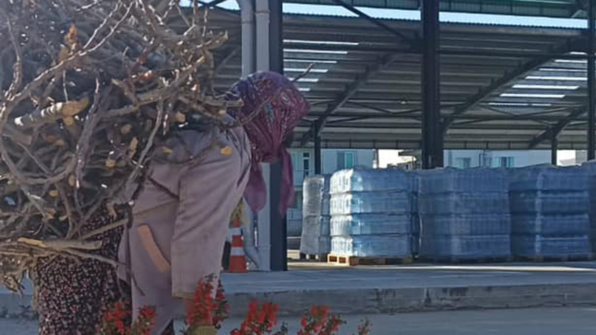 Topladığı odunları deprem bölgesine gönderdi