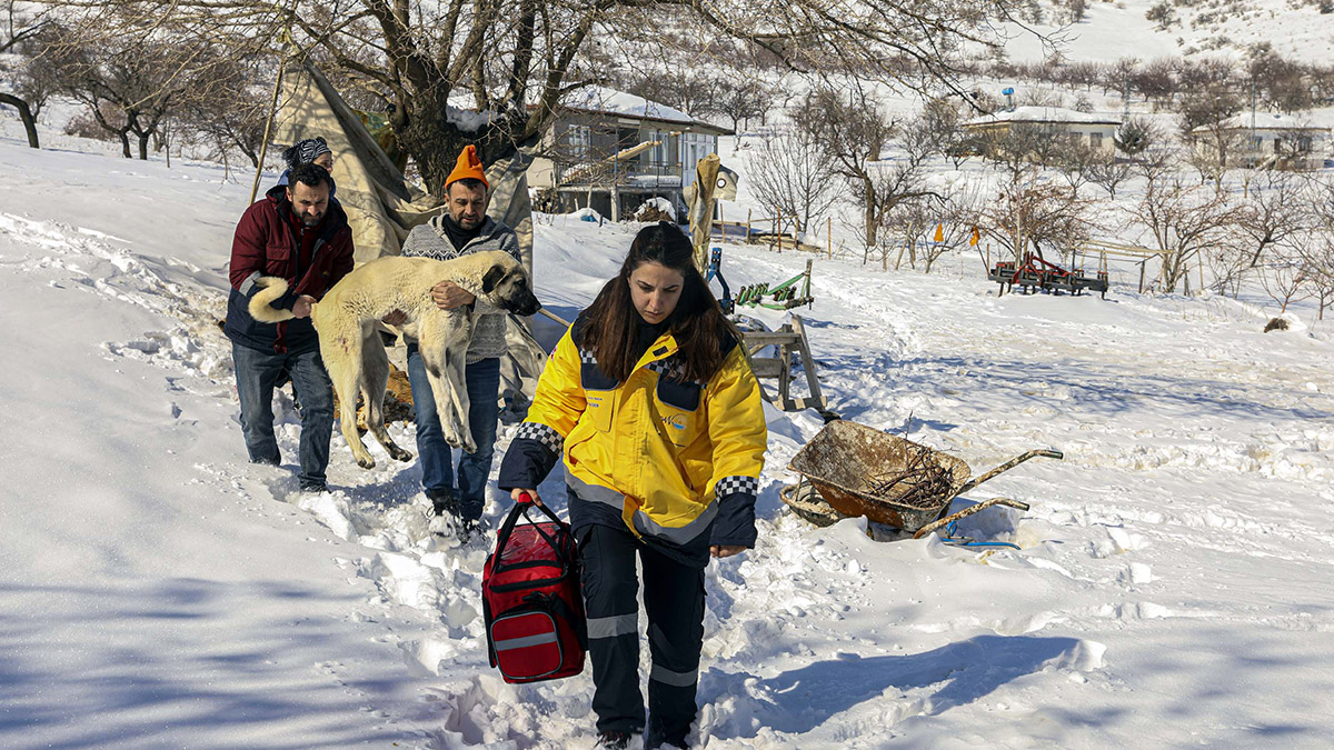 Ekipler, enkazda ayağı kırılan köpeğe müdahale etti