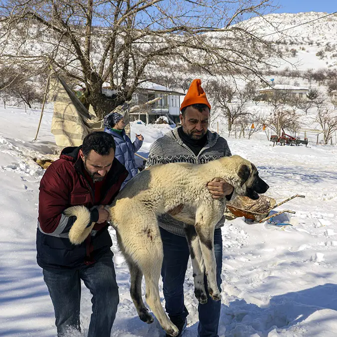 Ekipler, enkazda ayağı kırılan köpeğe müdahale etti