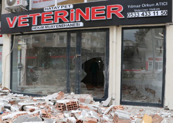 Veteriner kliniği depremde harabeye döndü