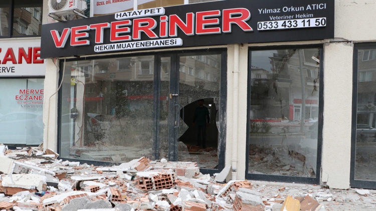 Veteriner kliniği depremde harabeye döndü