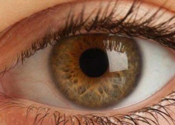 Akıllı lens, ömür boyu gözlükten kurtarıyor