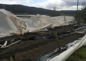Amasya'da fırtına; seralar zarar gördü