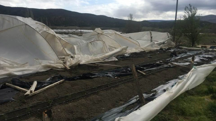 Amasya'da fırtına; seralar zarar gördü