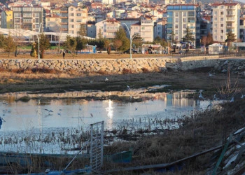 Beyşehir gölü'nde 'otlanma' tehlikesi
