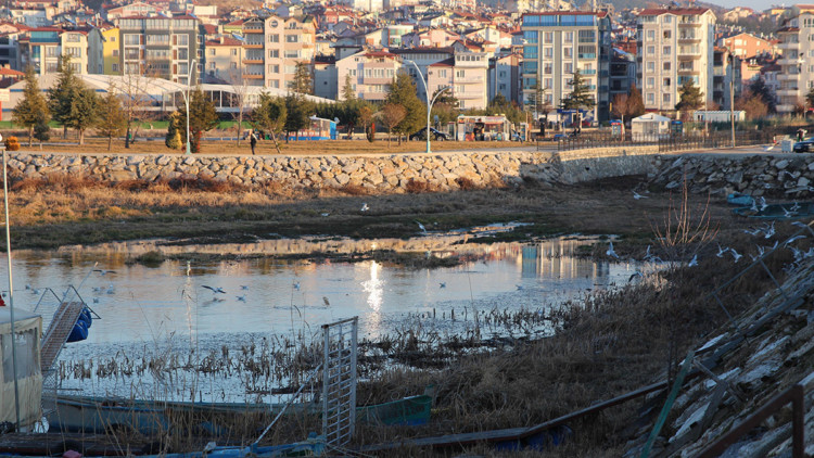 Beyşehir Gölü'nde 'otlanma' tehlikesi