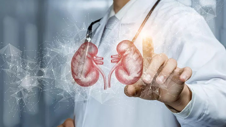 Böbrek yetmezliği belirtisiz ilerleyen bir hastalık