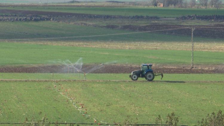 DEPSAŞ Enerji 123 bin çiftçiye destek sağlıyor