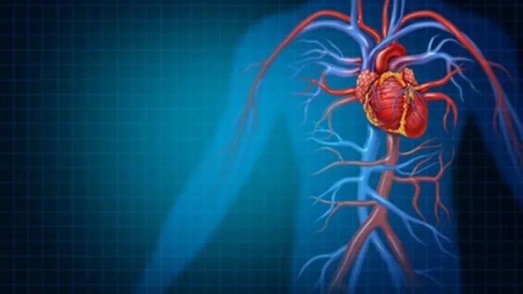 Damar tıkanıklığının tetiklediği kalp krizi ölüm sebebi