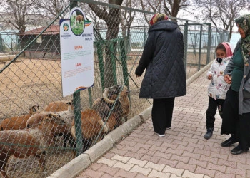 Depremzede çocuklar hayvanat bahçesini gezdi