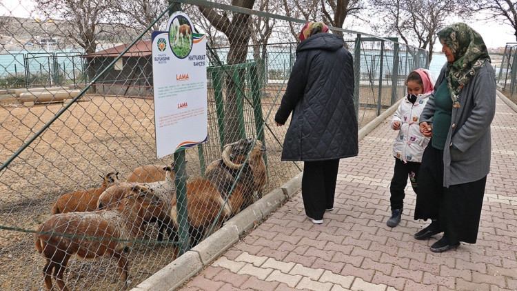 Depremzede çocuklar hayvanat bahçesini gezdi