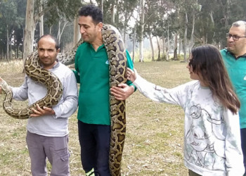 Doğa Parkı'nda yılanların korkusuz bakıcıları