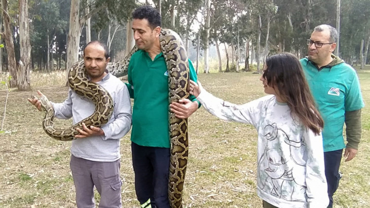 Doğa Parkı'nda yılanların korkusuz bakıcıları