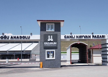 Doğu Anadolu Canlı Hayvan Pazarı kapatıldı