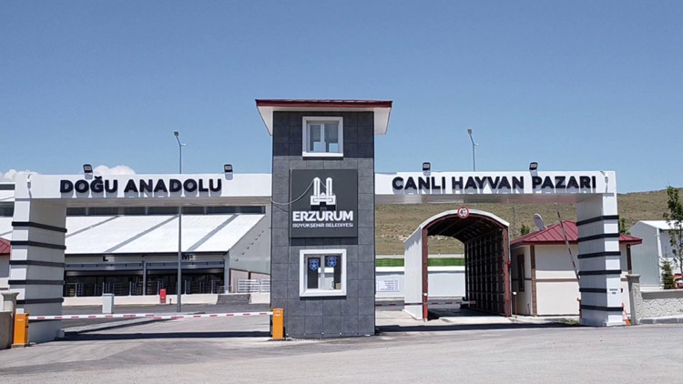 Doğu Anadolu Canlı Hayvan Pazarı kapatıldı