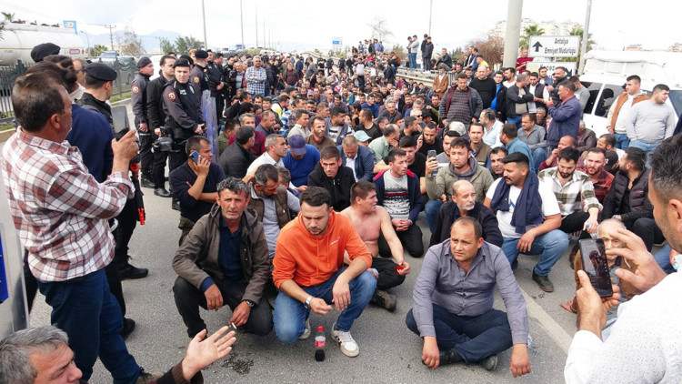 Domates üreticilerinden ihracat kısıtlaması eylemi