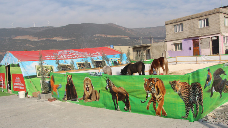 Enkaz altından çıkarılan hayvanlar tedavi ediliyor