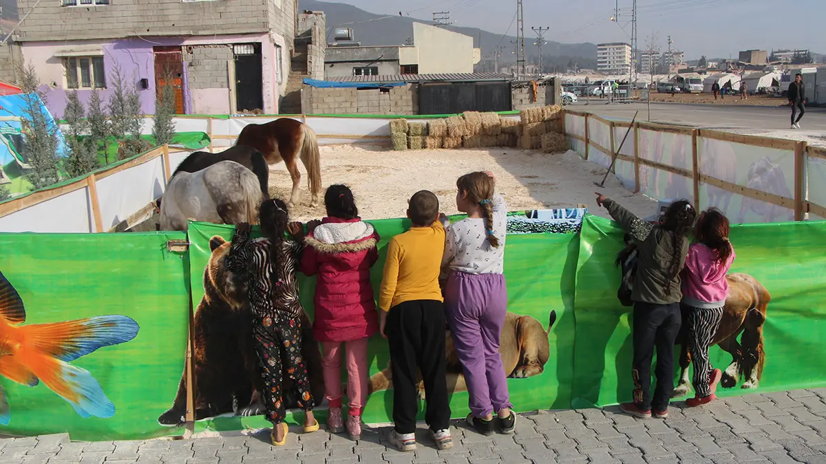 Enkaz altindan cikarilan hayvanlar tedavi ediliyorwe - yaşam - haberton