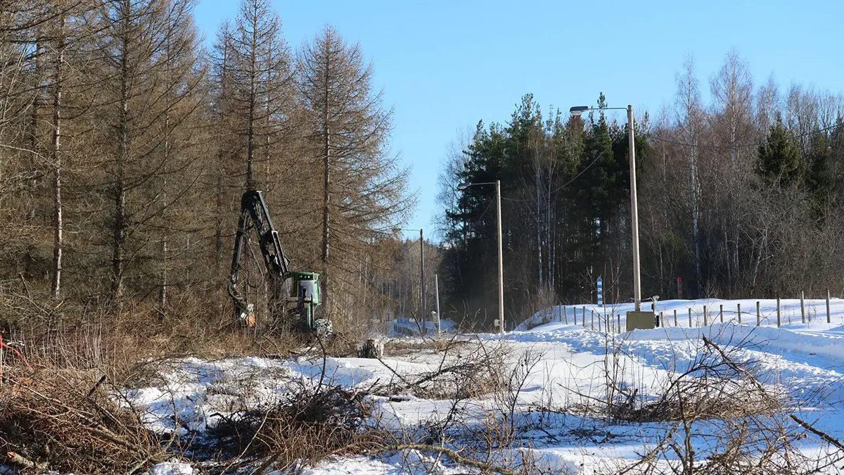 Finlandiya rusya sinirina tel orgulu cit cekiyorz - dış haberler - haberton