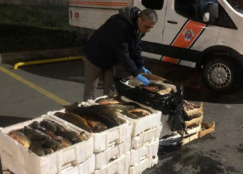 Gürpınar Su Ürünleri Halinde balıkçılara denetim