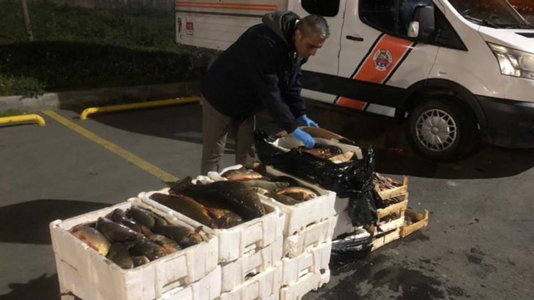 Gürpınar Su Ürünleri Halinde balıkçılara denetim